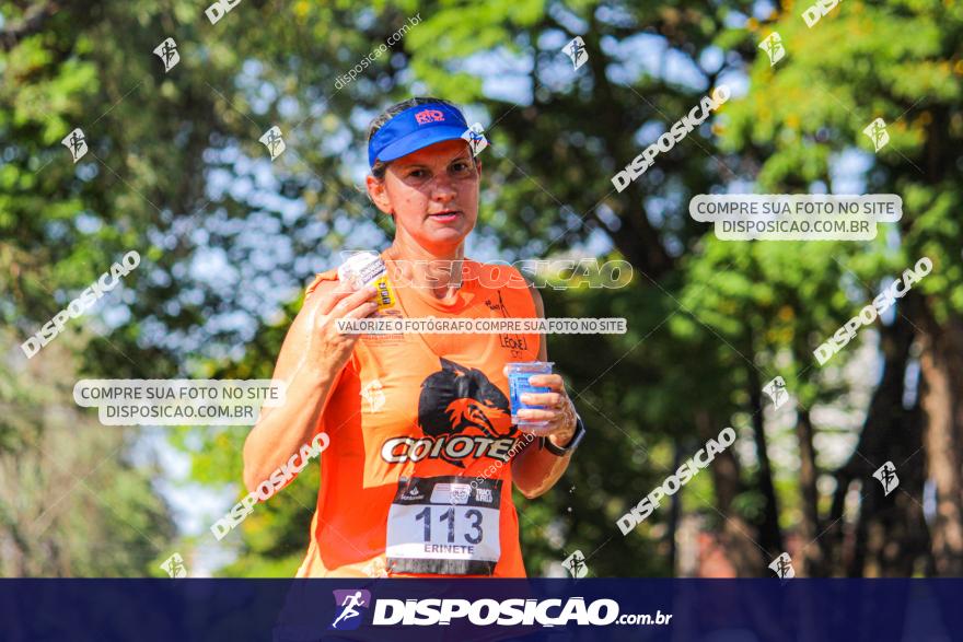 SANTANDER TRACK&FIELD RUN SERIES Maringá