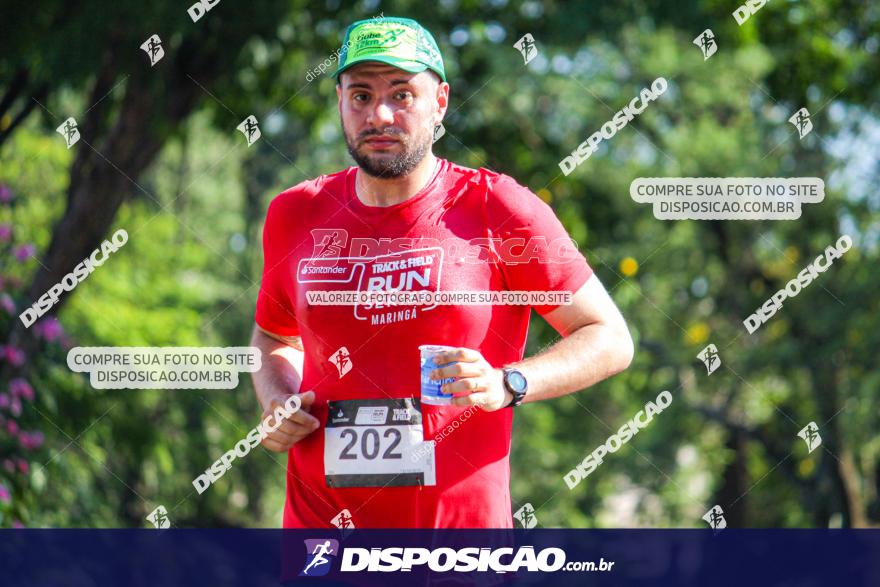 SANTANDER TRACK&FIELD RUN SERIES Maringá