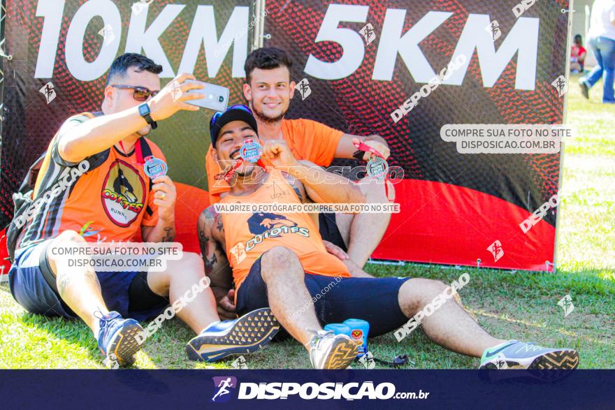 SANTANDER TRACK&FIELD RUN SERIES Maringá