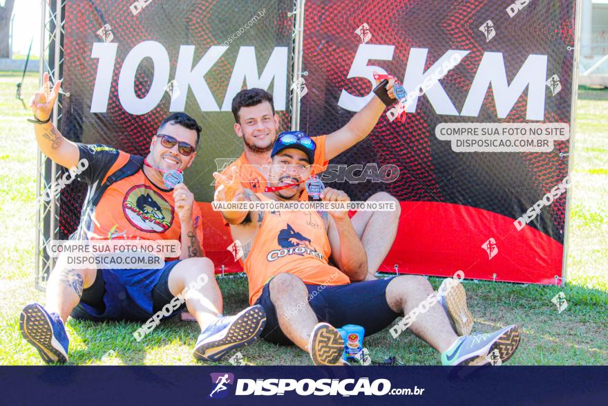 SANTANDER TRACK&FIELD RUN SERIES Maringá