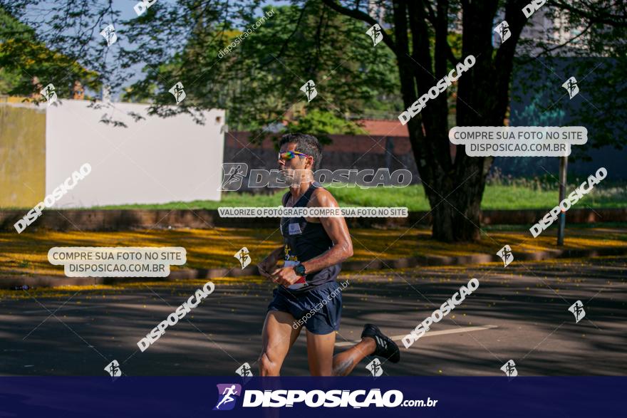 SANTANDER TRACK&FIELD RUN SERIES Maringá