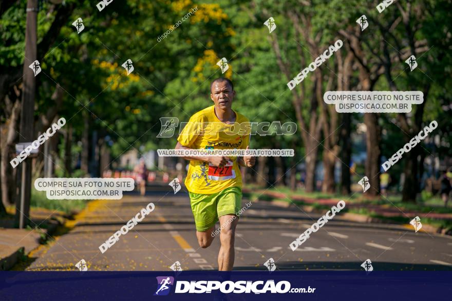 SANTANDER TRACK&FIELD RUN SERIES Maringá