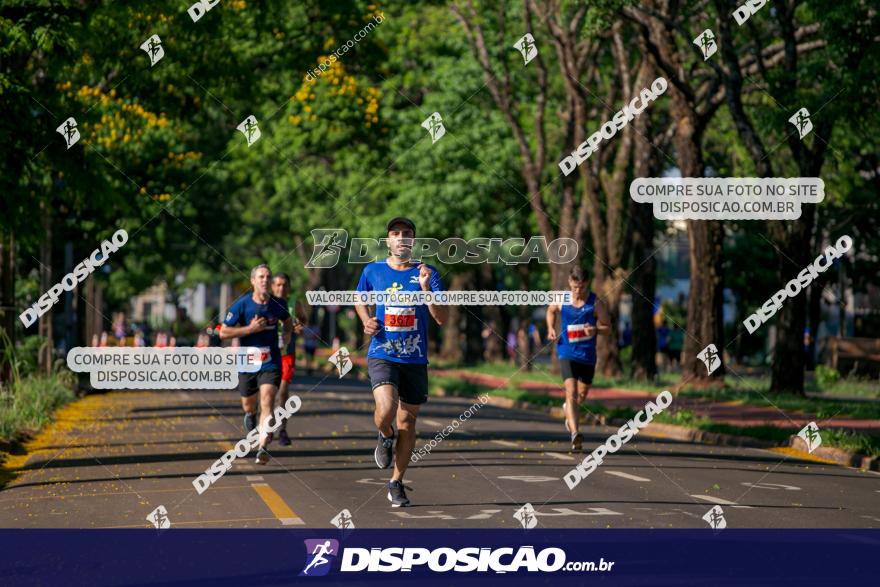 SANTANDER TRACK&FIELD RUN SERIES Maringá