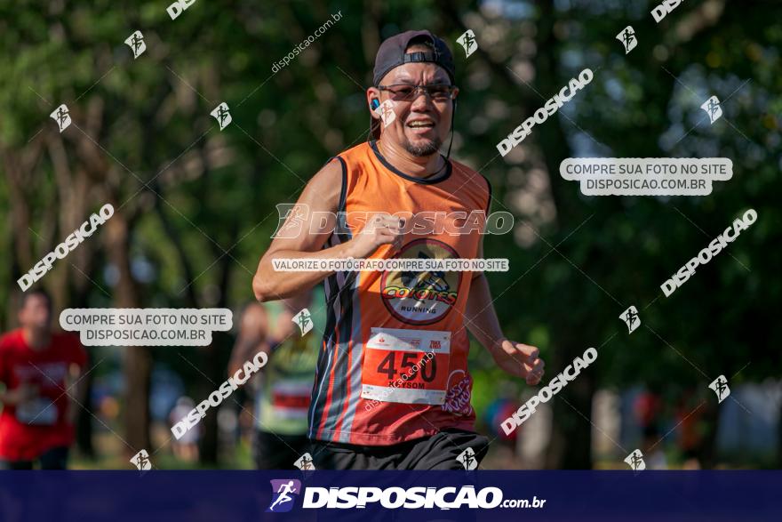 SANTANDER TRACK&FIELD RUN SERIES Maringá