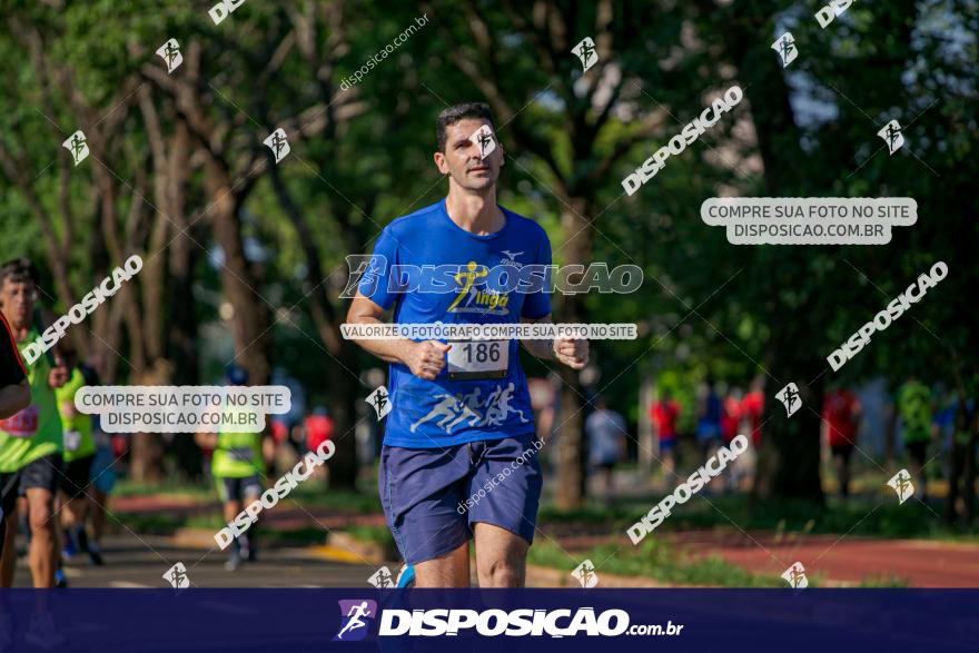 SANTANDER TRACK&FIELD RUN SERIES Maringá