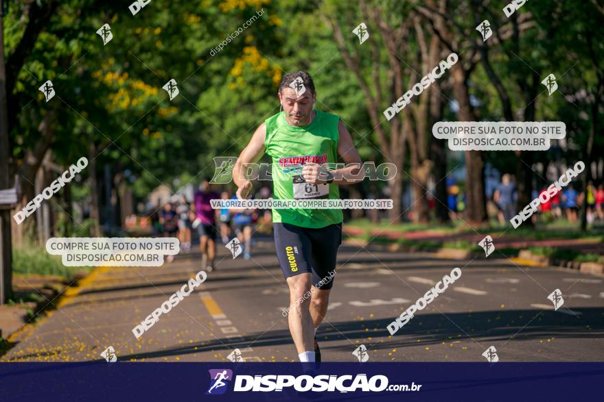 SANTANDER TRACK&FIELD RUN SERIES Maringá