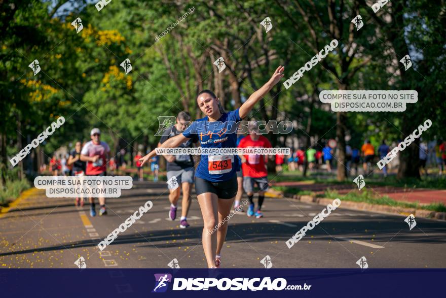 SANTANDER TRACK&FIELD RUN SERIES Maringá