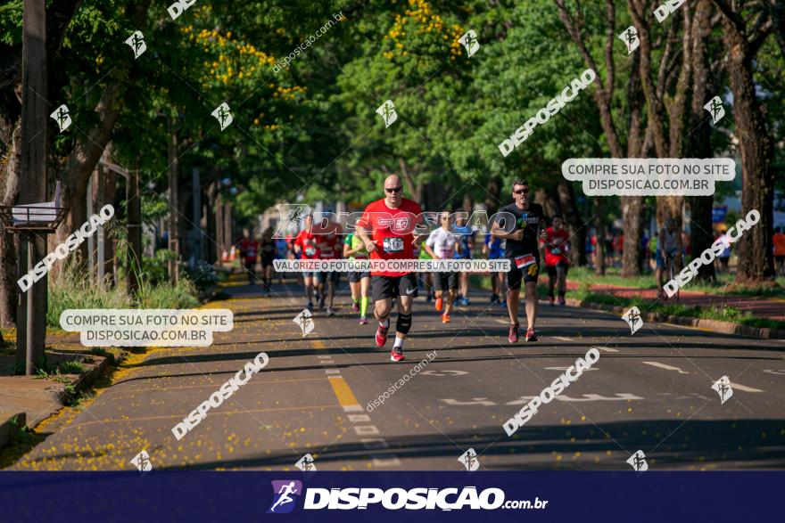 SANTANDER TRACK&FIELD RUN SERIES Maringá