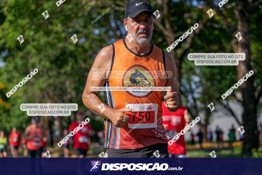 SANTANDER TRACK&FIELD RUN SERIES Maringá