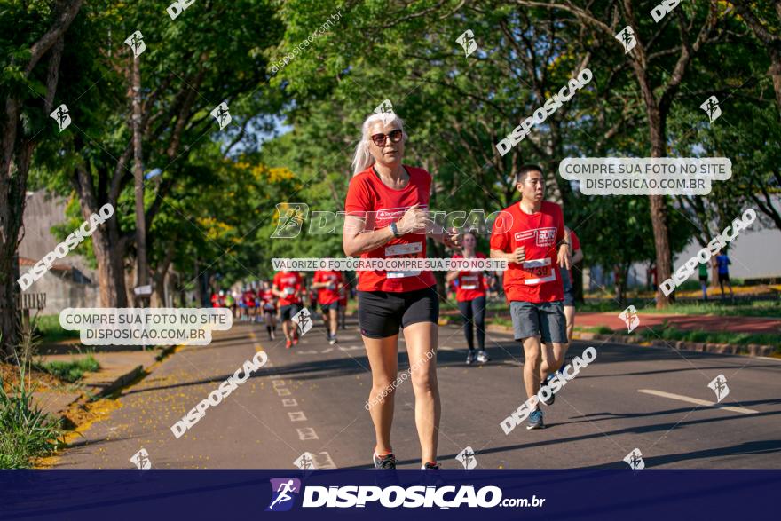 SANTANDER TRACK&FIELD RUN SERIES Maringá