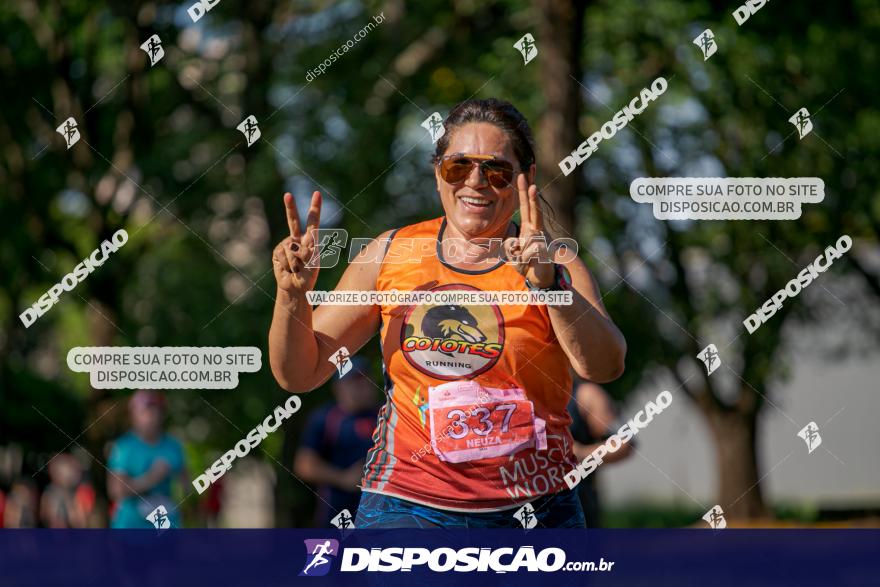 SANTANDER TRACK&FIELD RUN SERIES Maringá