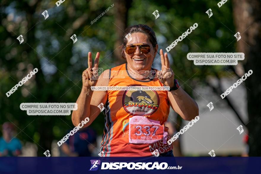 SANTANDER TRACK&FIELD RUN SERIES Maringá