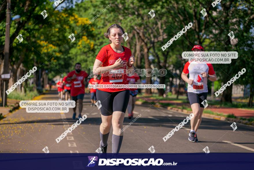 SANTANDER TRACK&FIELD RUN SERIES Maringá