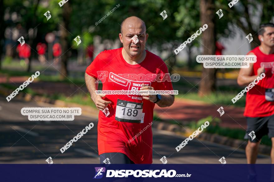 SANTANDER TRACK&FIELD RUN SERIES Maringá