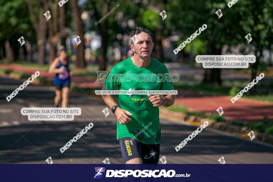 SANTANDER TRACK&FIELD RUN SERIES Maringá