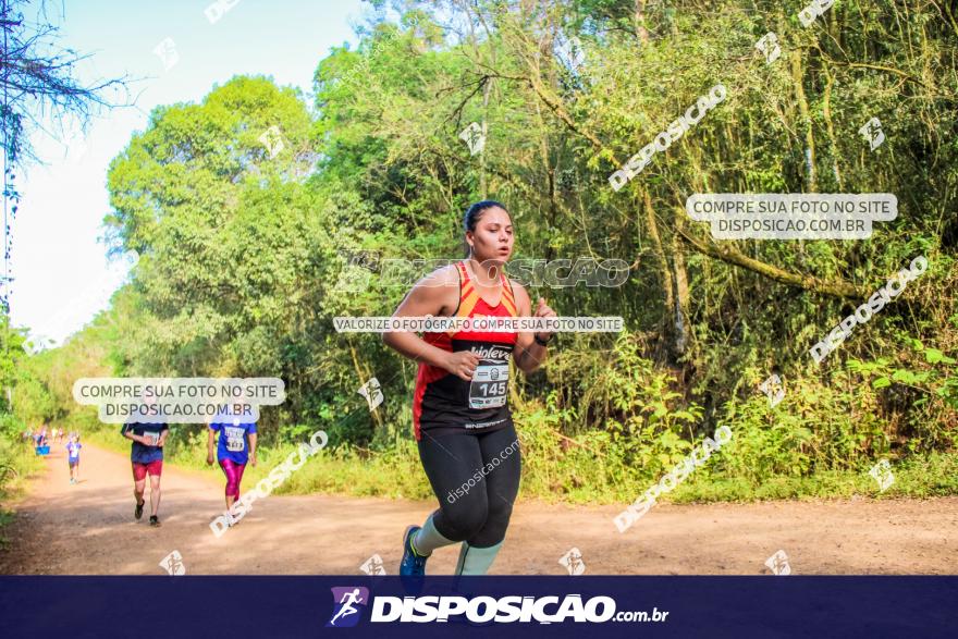 Circuito Decathlon Off Road - Etapa Vale das Palmeiras