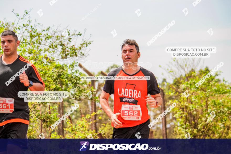 Circuito Decathlon Off Road - Etapa Vale das Palmeiras