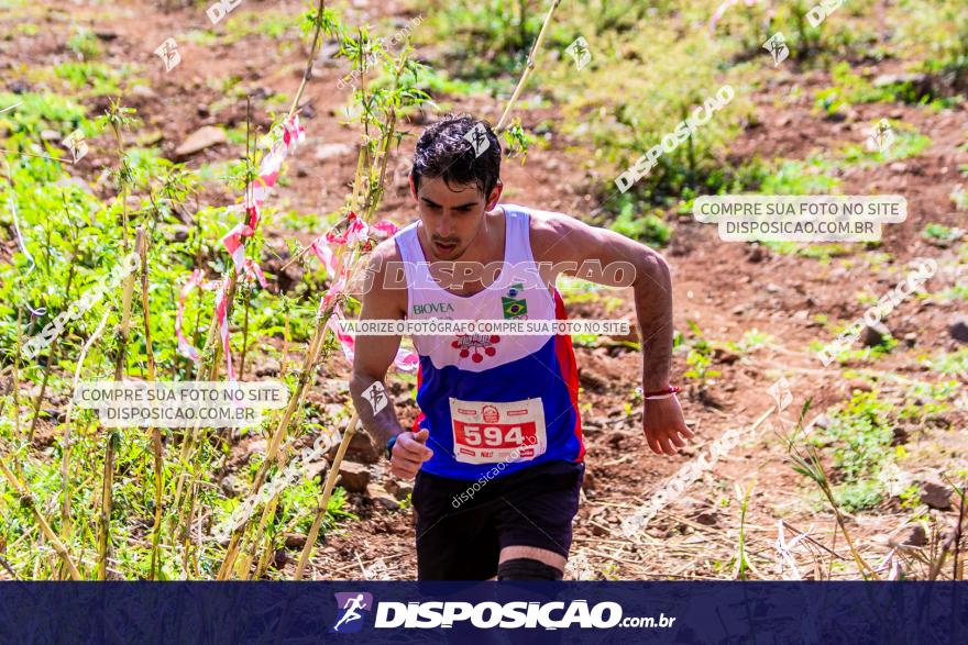 Circuito Decathlon Off Road - Etapa Vale das Palmeiras