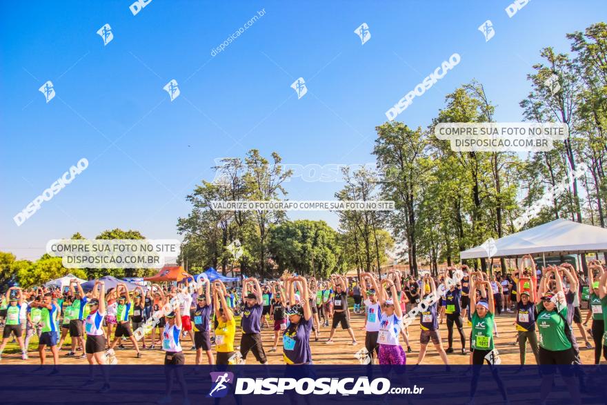 4ª GM Run Arapongas