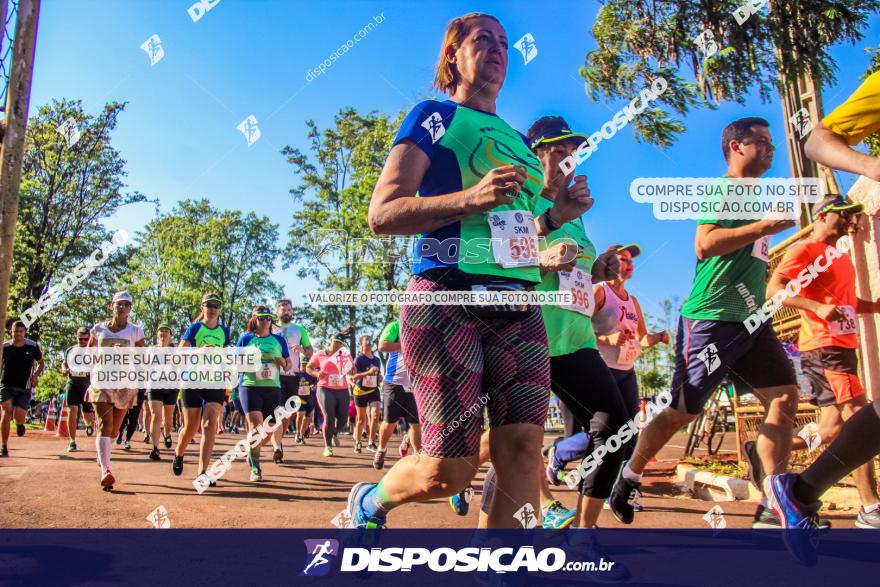 4ª GM Run Arapongas