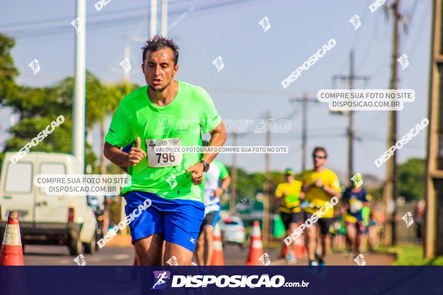 4ª GM Run Arapongas