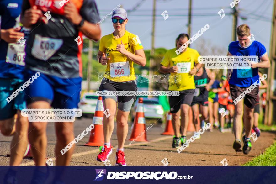 4ª GM Run Arapongas