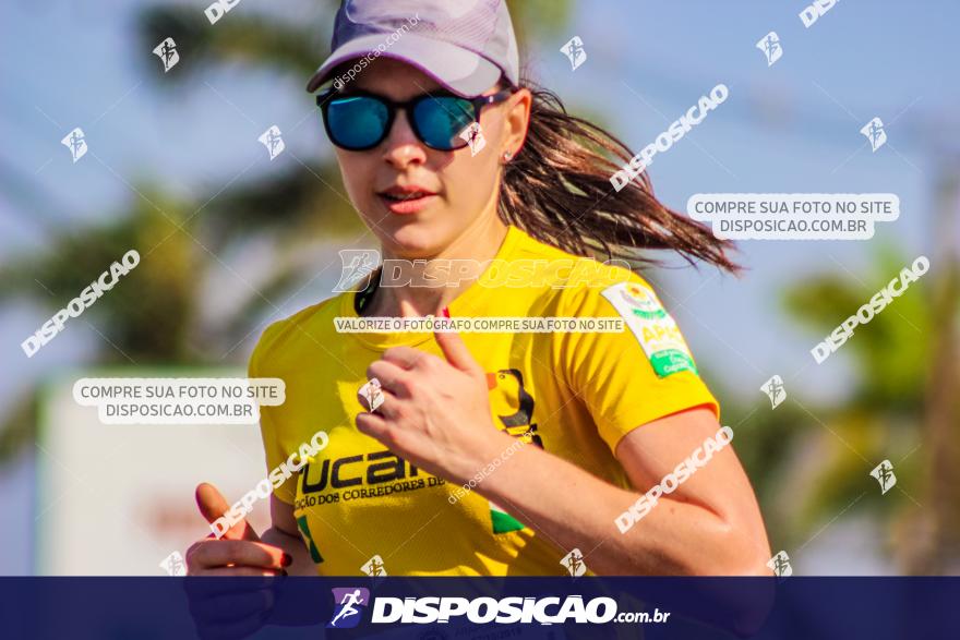 4ª GM Run Arapongas