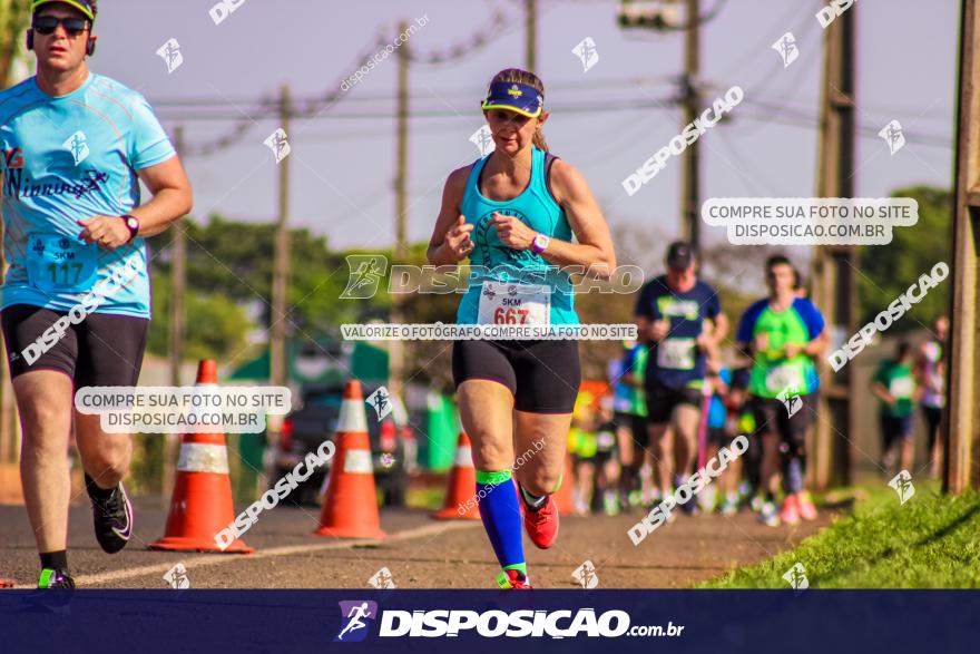 4ª GM Run Arapongas