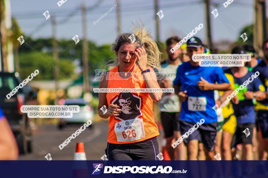 4ª GM Run Arapongas