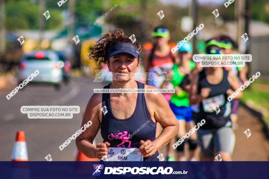 4ª GM Run Arapongas