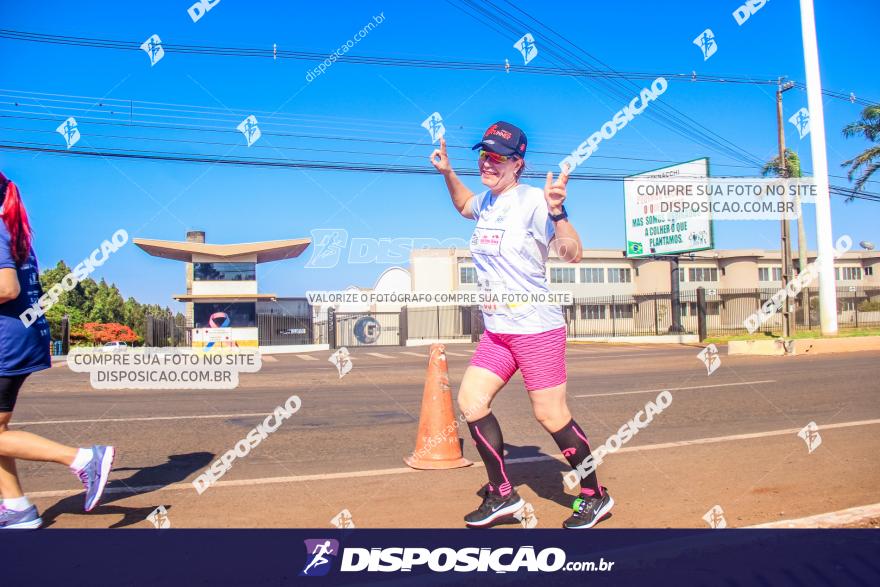 4ª GM Run Arapongas