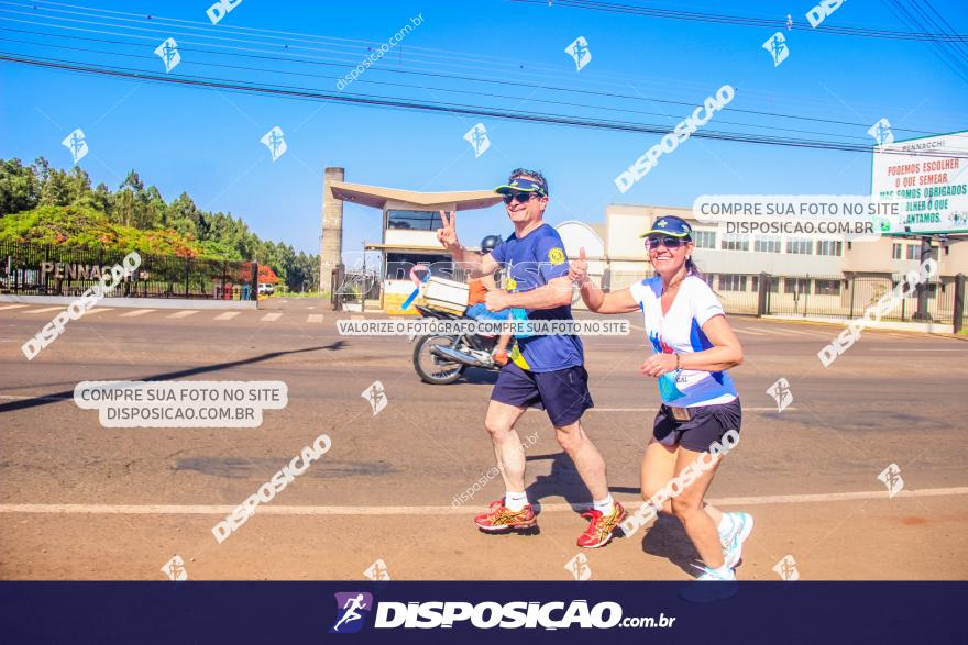 4ª GM Run Arapongas