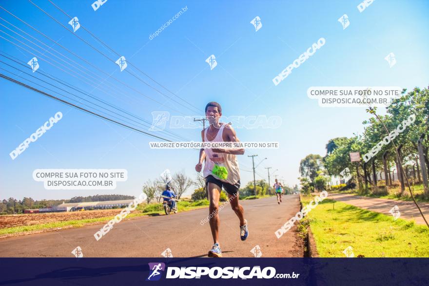 4ª GM Run Arapongas