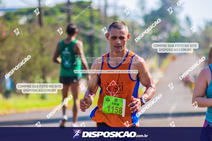 4ª GM Run Arapongas