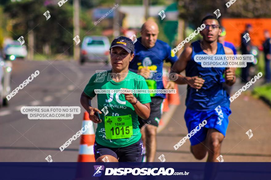 4ª GM Run Arapongas