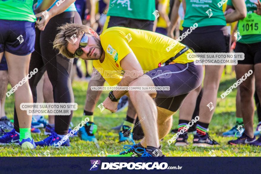 4ª GM Run Arapongas