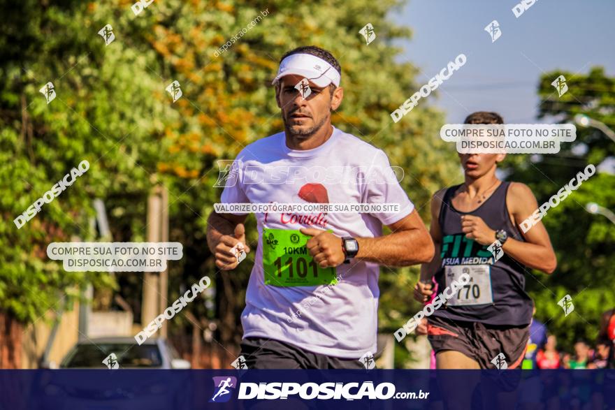 4ª GM Run Arapongas