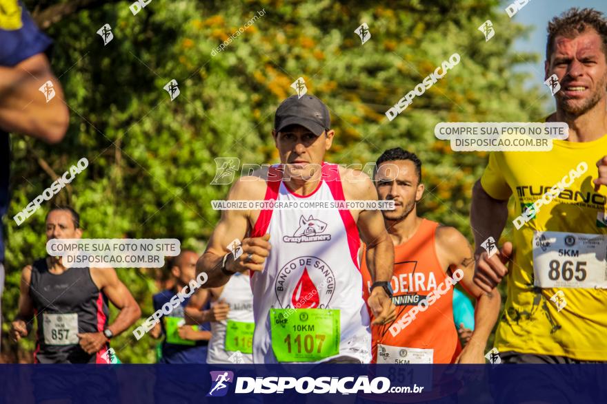 4ª GM Run Arapongas