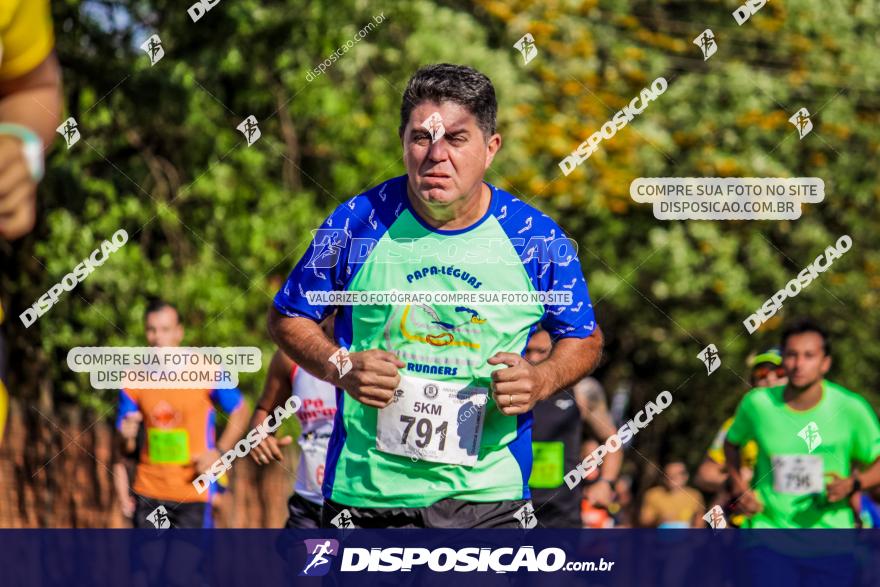 4ª GM Run Arapongas