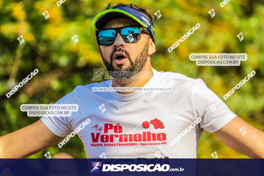 4ª GM Run Arapongas