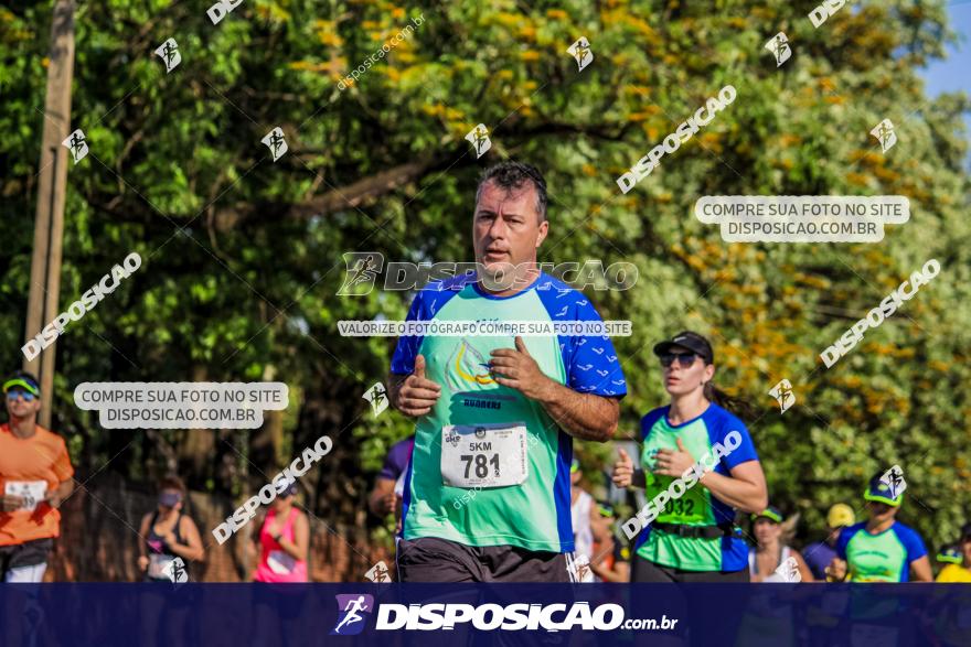 4ª GM Run Arapongas