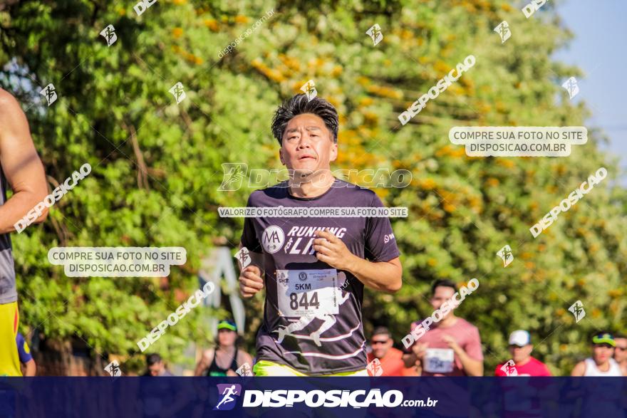 4ª GM Run Arapongas