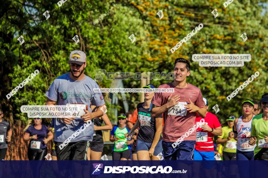 4ª GM Run Arapongas