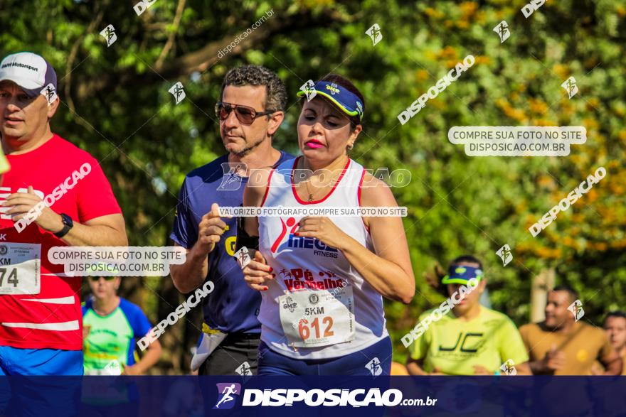 4ª GM Run Arapongas