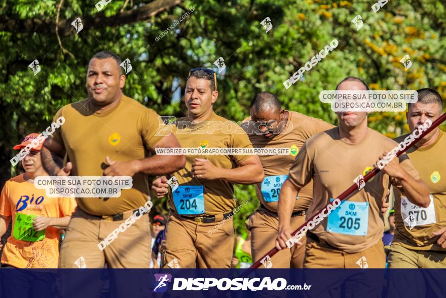 4ª GM Run Arapongas