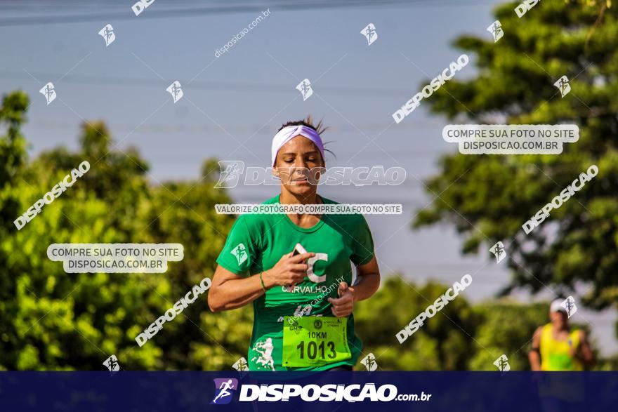 4ª GM Run Arapongas