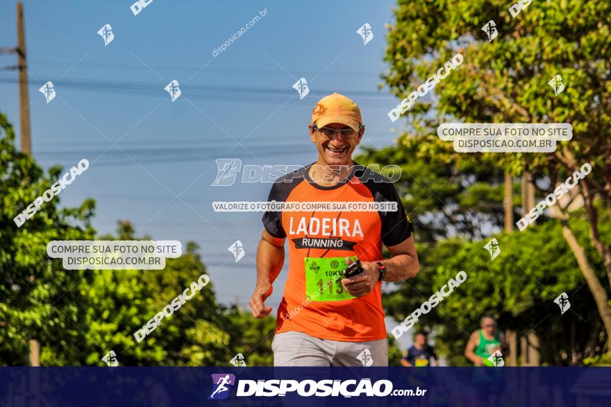 4ª GM Run Arapongas