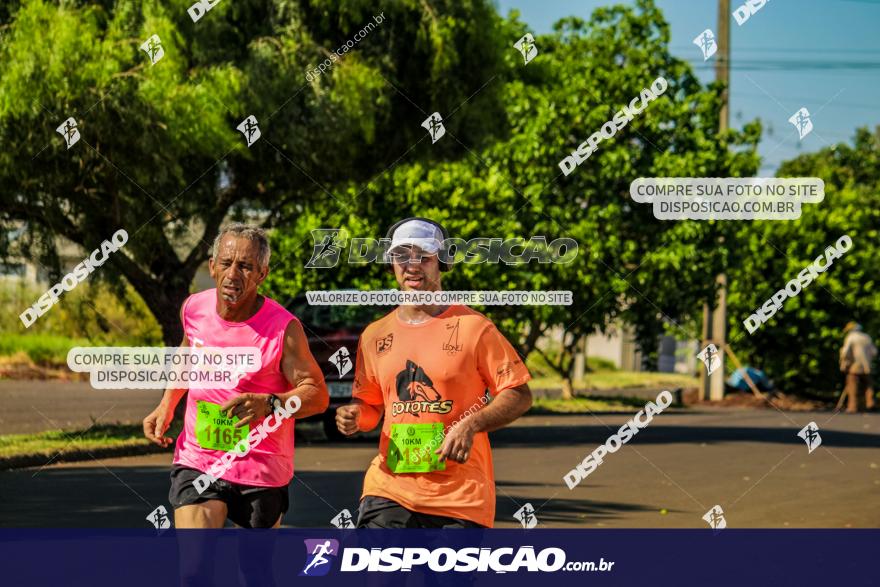 4ª GM Run Arapongas