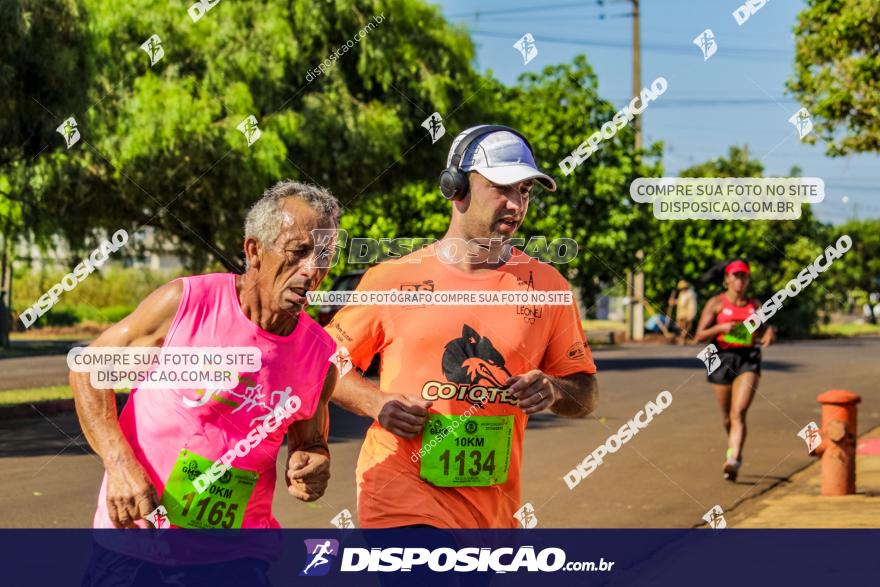 4ª GM Run Arapongas