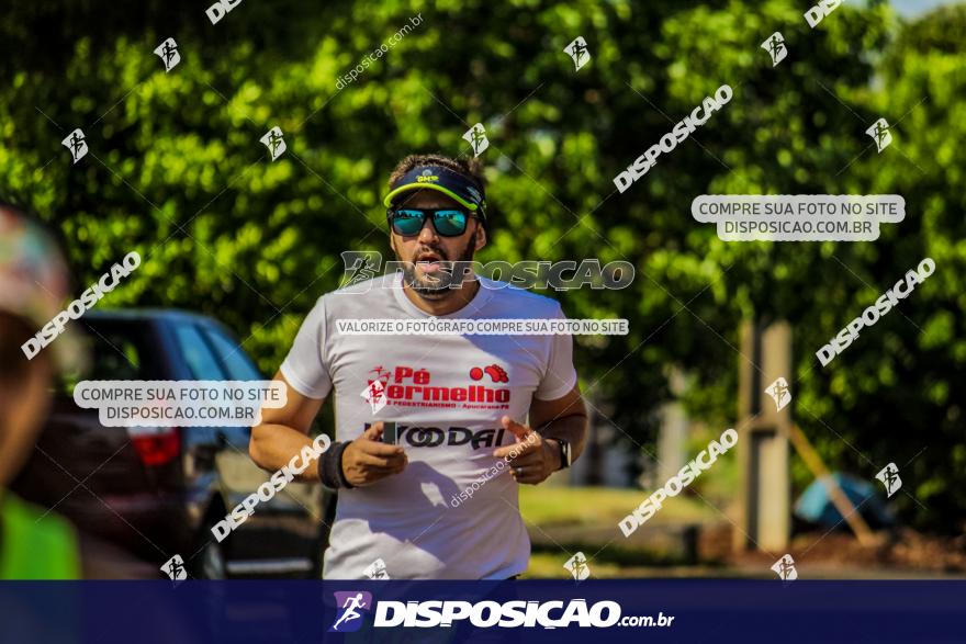 4ª GM Run Arapongas